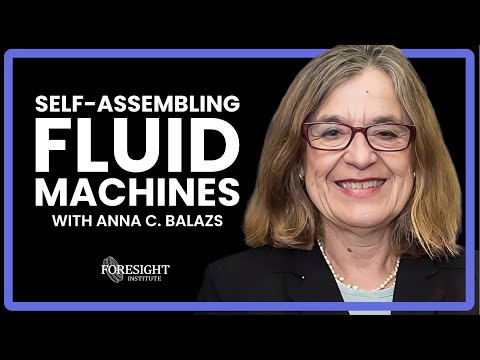 Anna C. Balazs | Fluid Flows Act As Machines That Autonomously Assemble Hierarchical 3D Structures
