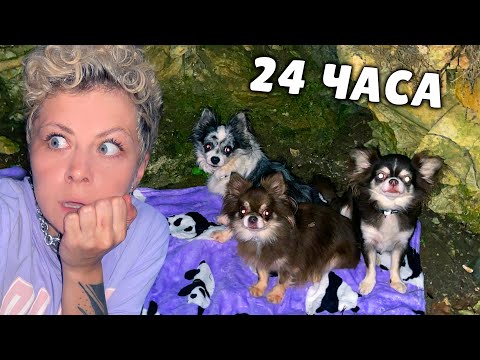 ВЫЖИВАЕМ с собаками НОЧЬЮ в ЛЕСУ с товарами из FixPrice! Нашли заброшенный дом!