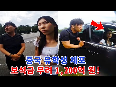 After Chinese Student's Car Was Stopped, US Police Uncover Bigger Secret!