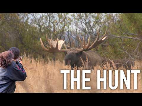 Calling in Alaska BULL Moose | Fall Family Hunt