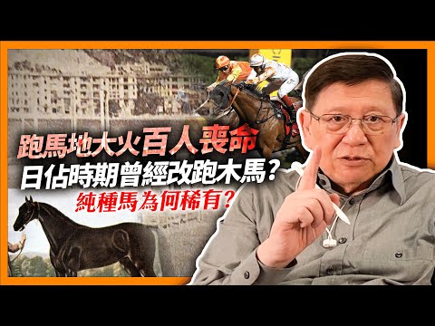 談香港賽馬會兩大奇事：跑馬地大火令百人喪命、日佔時期曾經改跑木馬，純種馬為何稀有？解釋三大元老馬與配種制度《蕭若元：書房閒話》2023-09-07