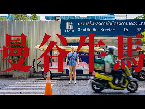 我蹭了一頓曼谷打工人的午餐，聽到了中國人在泰國職場裡最深刻的發言。他們在工作、生活中最不能接受、最享受的事情是什麼？泰國找工作、面試有沒有潛規則？還有各種中資、泰國企業裡的真實生態 I 路客Luke