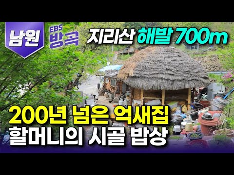 [전북 남원] 17살에 시집와 결혼 4년 만에 떠난 남편, 홀로 아이들 키우며 뒤늦게 찾아온 할머니의 봄┃200년 넘은 억새집 홀로 지키는 할머니의 손맛┃#한국기행 #방방곡곡