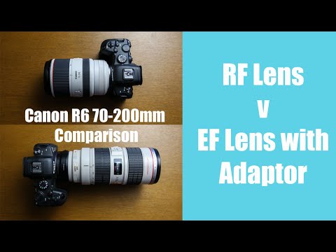 Canon R6 with the EF lens Adapter - Does it work?