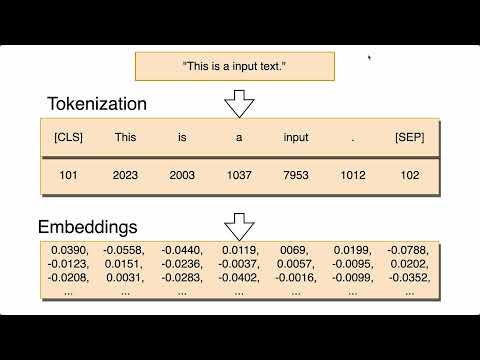 Understanding the Tokenization Vocabulary of LLMs
