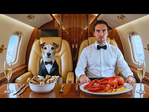 I Flew on the First-Ever Airline Made for Dogs