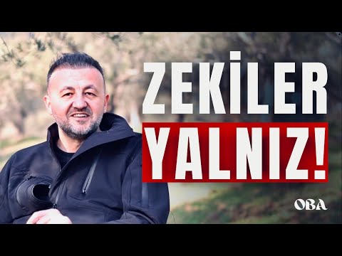 Why Do Intelligent People Have Few Friends?