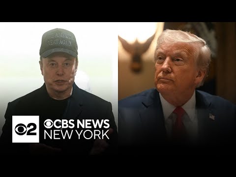 Key takeaways from Trump's first Cabinet meeting with Elon Musk in attendance