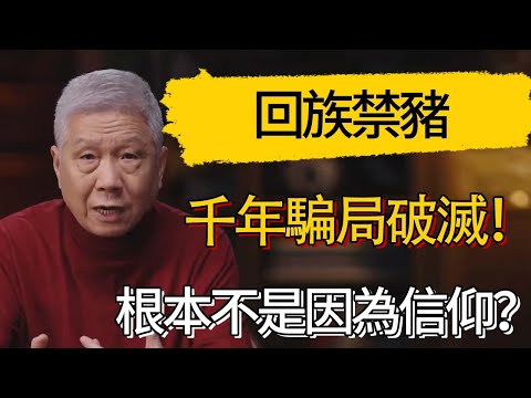 回族禁豬千年騙局破滅！根本不是因為信仰？#觀復嘟嘟 #馬未都 #圆桌派 #观复嘟嘟