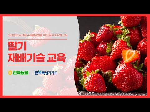 딸기 재배기술 교육 영상