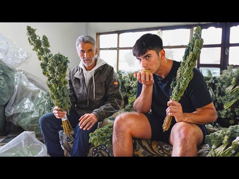 Такова ЖИЗНЬ ПРОИЗВОДИТЕЛЯ МАР1ХУАНЫ