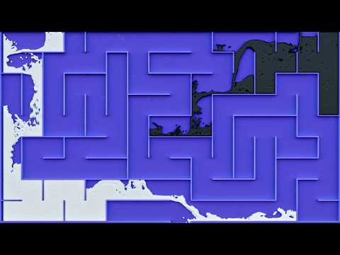 Yin vs Yang Fluid Maze ☯️ Who Will Win?