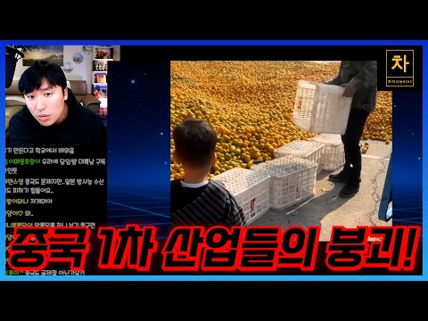 중국의 비정상적인 내부 경쟁...한국으로 침투할 수도 있습니다!