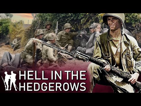 Fighting In The Normandy Bocage (Not AI - WW2 Documentary)