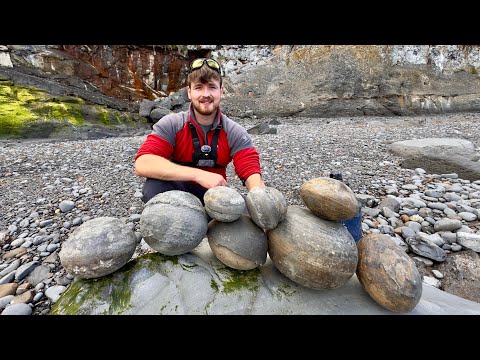 2 Day Fossil Hunting - These HUGE Unopened Rocks Contained Rare Fossils! 