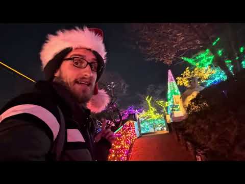 Yomiuriland illumination 2025!!! 