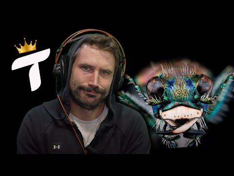 The FASTEST and SAFEST Database