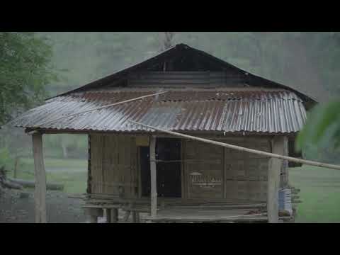 เสียงฝนตกบนหลังคาสังกะสี 5 ชม | หลับลึก ผ่อนคลาย ไม่มีโฆษณา | Tin Roof Rain Sounds for Deep Sleep