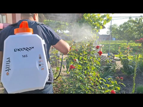 Dnipro-M 16S Огляд та Тест Акумуляторного обприскувача  — Мої враження після використання
