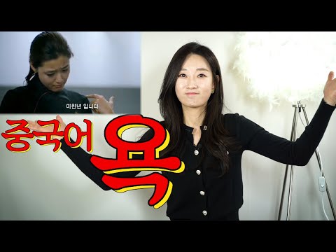 중국어로 찰지게 욕하기