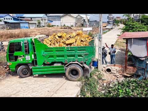 Nicely Start Project Landfill by Best Driver 5TTrucks unloading SoilRock &Dozer KOMATSU D20P Pushing