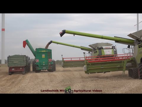 Claas - Fendt - Hawe / Dinkelernte - Spelled Harvest 2022 The Whole Story