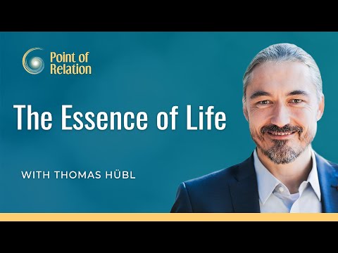 The Essence of Life | Thomas Hübl | Point of Relation Podcast
