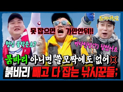 "형님 바다인삼(?) 잡았어요!" 붉바리 빼고 다 잡는 낚시꾼들;; 낚시 실패에 이경규 극대노ㅋㅋㅋ🔥 | 도시어부2 37회