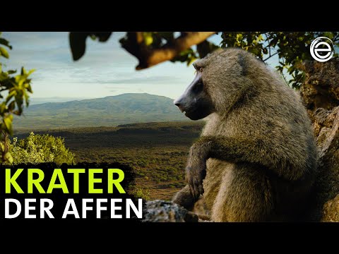 Africa's Mysterious Worlds – In the Heart of the Volcano | Experience Earth