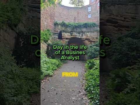 Day in the life of a business analyst #makemoneydoingwhatyoulove