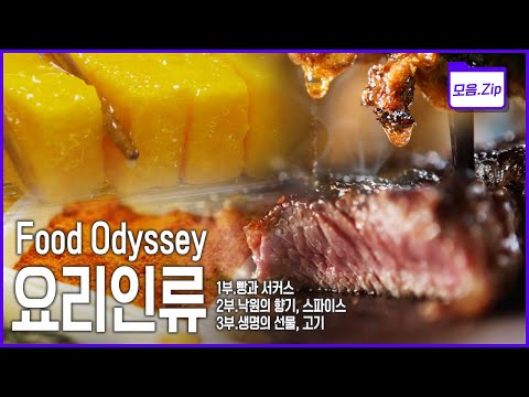 [명작다큐🎖️몰아보기] 요리는 인간이 이룩한 가장 위대한 발견! | 2014 KBS 글로벌 대기획 '요리인류 Food Odyssey' 3부작 | KBS 2014년 방송