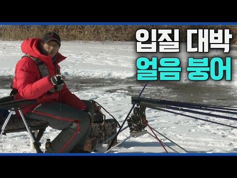 한겨울 얼음낚시에 최고! 원주 월척터에서 대박 입질을 받다~ [붕어낚시 월척특급/800회]