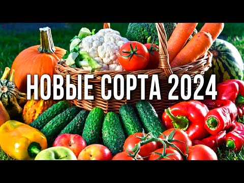 Новинки семян овощей 2023-2024. Новинки томатов, сладкого перца, огурцов. Что посадить в 2024 году.