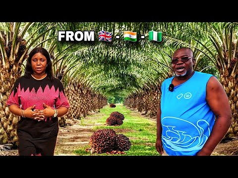 HE LEFT UK AND HIS FACTORY IN INDIA TO BUILD A PALM OIL EMPIRE IN NIGERIA 🇳🇬 | BOSS LEVEL BUSINESS