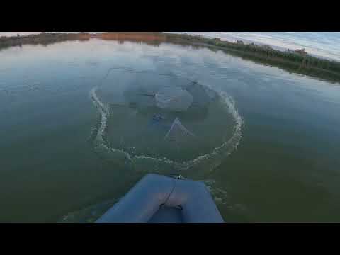 Бомбическая рыбалка кастинговой сетью наловил много рыбы.