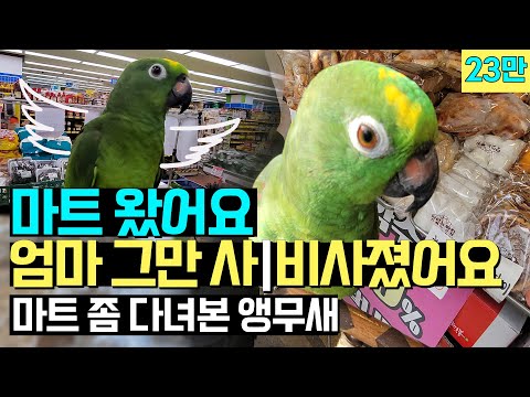 마트 좀 다녀 본 앵무새 하나남았어요!🦜🦚👻/엄마 그만사/비싸요/ 다샀어요?? 묻고 3개만 주세요하는 아랑이에요