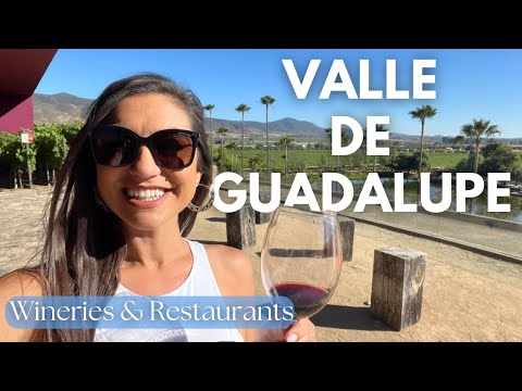 Watch before going to Valle de Guadalupe for important information about wineries and restaurants!🇲🇽