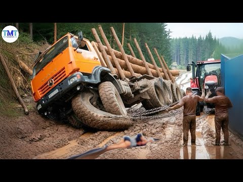 Extremely dangerous monster wood truck driving skills | climbing | heavy load #178