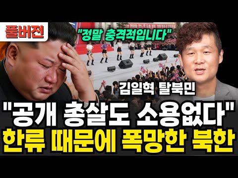김정은도 한류 더이상 못막는다. 한국 때문에 망해버린 북한 "소녀시대 보려고 탈북했어요" (김일혁님 / 풀버전)