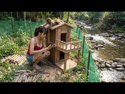 Building A Wooden House For A Little Monkey Using Bamboo, Leave The City For The Forest