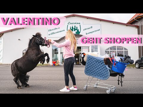 ICH KAUFE ALLES WAS MEIN PFERD BERÜHRT!