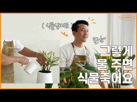 절대 죽지않는 식물 물주는 방법 ㅣ꽃집사장님이 알려드려요ㅣ초보들의 실수✔️ BEST