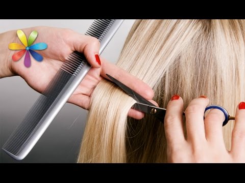 Верить или не верить? Приметы о волосах + русские субтитры – Все буде добре. Выпуск 704 от 12.11.15