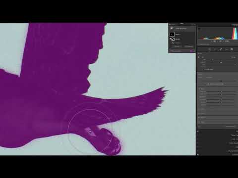 Using Lightroom Brush Tool with Auto Masking to Refine Masks