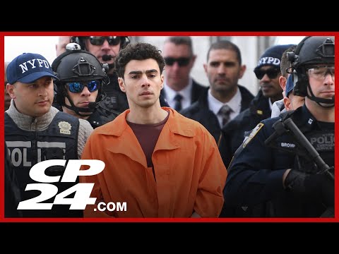 Court documents unveil diary entries of Luigi Mangione