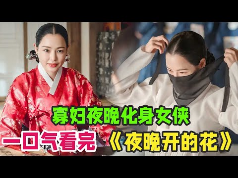 李荷妮古装韩剧《夜晚开的花》一口气看完，寡妇夜晚化身女侠惩恶扬善
