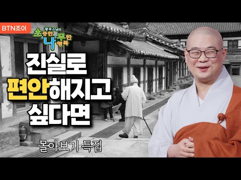 진실로 편안해지고 싶다면 ?!ㅣ광우스님 소나무 ㅣ 몰아보기 #복덕 #기도 #가피