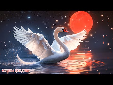 Самая красивая мелодия в мире! Эту музыку можно слушать вечно! Music by Сергей Грищук#музыка#16