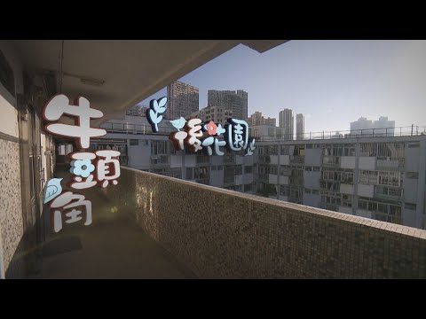 【經緯線】牛頭角「後花園」