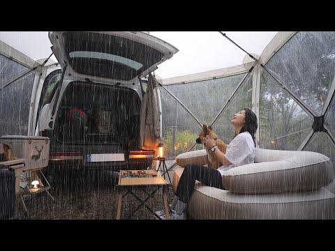 비 내리는 산속에서 나 홀로 우중 차박캠핑🚙 / 헌 차 보내드리고 새 차 모셔왔습니다 / 대하 굽고 가리비에 초장 모짜렐라 치즈뿌려 혼술캠핑 / 포천 유식물원 캠핑장